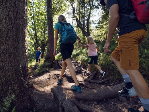 Discover Lake Achensee Family hiking together on root-covered forest trail in sunny weather