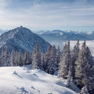 Eure Fragen – unsere Wiesenhof Antworten Schneebedeckter Berg und Tannen mit Winterszenerie unter blauem Himmel