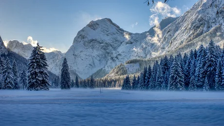 Wiesenhof from all perspectives Winter landscape with snow-covered mountains and pine trees at sunrise