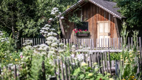 Wiesenhof from all perspectives Small wooden house with flower box behind wooden fence and flowers in garden