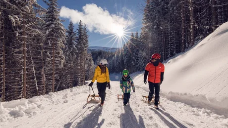 Wiesenhof from all perspectives Family with sleds walking on snowy forest trail in bright sunshine