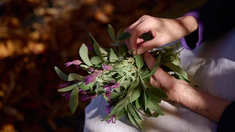 Wiesenhof from all perspectives Hands holding a bouquet of green leaves and purple flowers