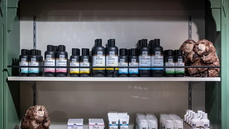 Wiesenhof from all perspectives Shelf displaying various skincare products with two stuffed animals on each side