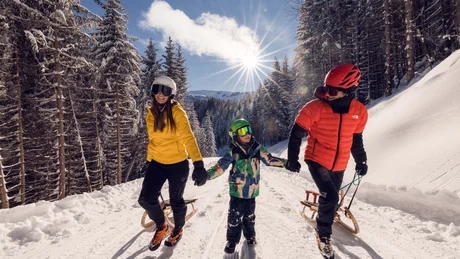 Wiesenhof from all perspectives Family holding hands while winter sledding in snowy forest