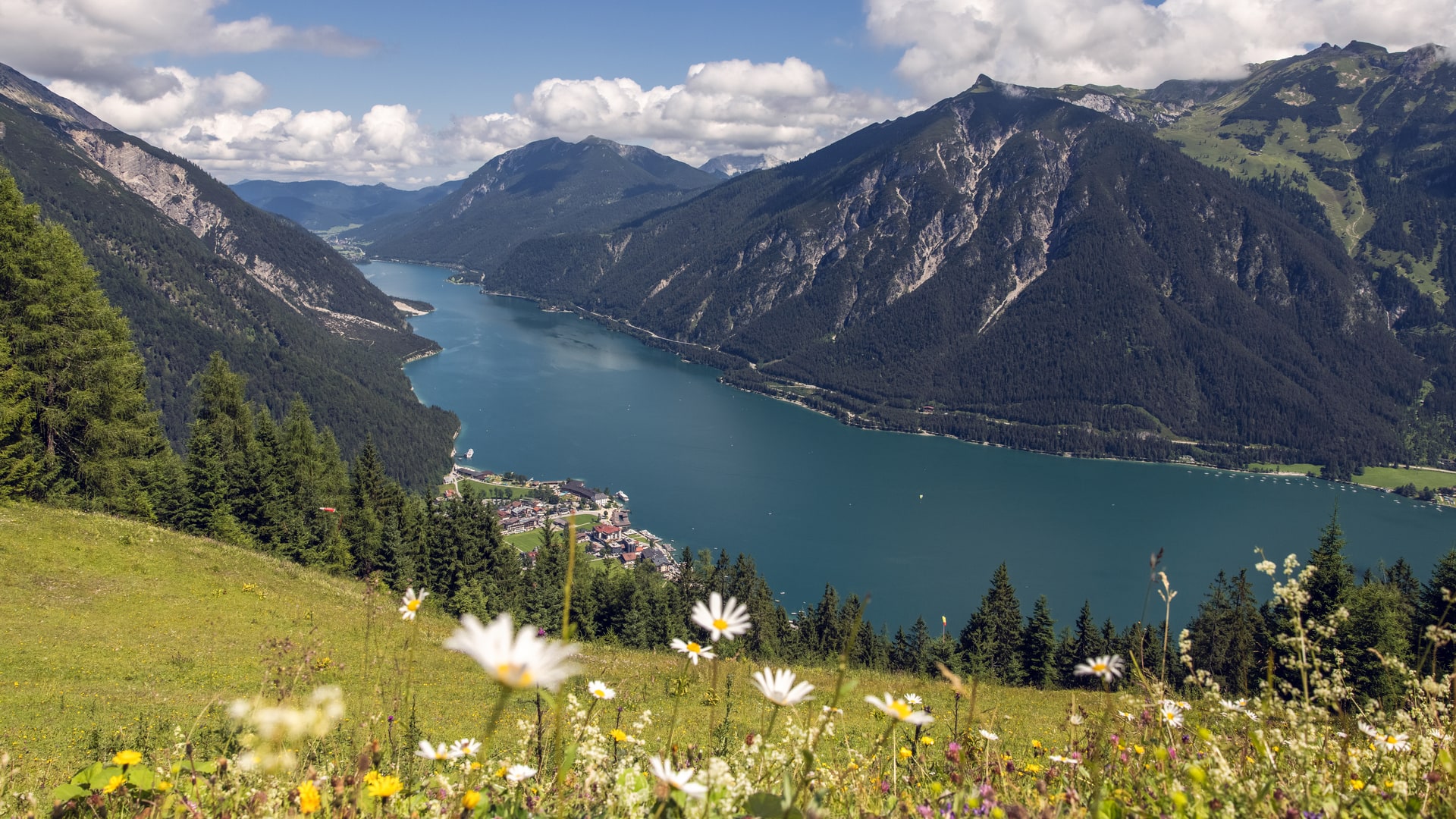 Berglandschaft mit See und blühenden Wiesen